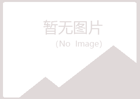 吉林丰满雅山化学有限公司